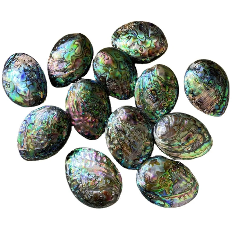 Natural Abalone Shell Large Oval  Pendants Shell Decor Beads Gemstone Pendants Making Jewelry Green Shell Beads