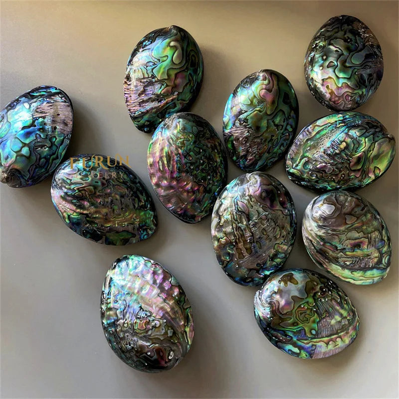 Natural Abalone Shell Large Oval  Pendants Shell Decor Beads Gemstone Pendants Making Jewelry Green Shell Beads